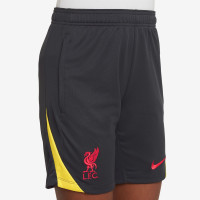 Nike Liverpool Strike Trainingsset 2024-2025 Kids Grijs Donkergrijs Geel Rood