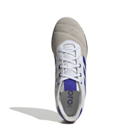 adidas Copa Gloro Chaussures de Foot en Salle (IN) Blanc Beige Bleu