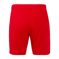 Shorts pour domicile Castore FC Twente 2024-2025