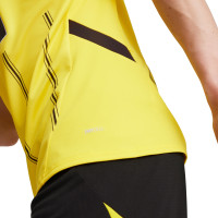 PUMA Borussia Dortmund Thuisset 2024-2025