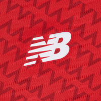 New Balance Lille OSC Maillot Domicile 2024-2025