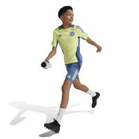 adidas Ajax Maillot d'Entraînement 2024-2025 Enfants Jaune Bleu