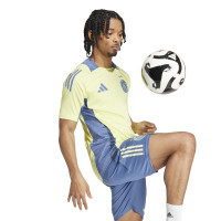 adidas Ajax Maillot d'Entraînement 2024-2025 Jaune Bleu