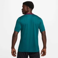 Nike Paris Saint-Germain Strike Maillot d'Entraînement 2024-2025 Vert Mauve Blanc Doré