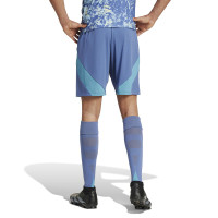 adidas Ajax Short Extérieur 2024-2025