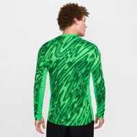 Maillot de gardien de but à manches longues Nike Netherlands 2024-2026 Vert