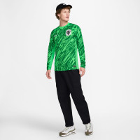 Maillot de gardien de but à manches longues Nike Netherlands 2024-2026 Vert