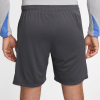 Nike Tottenham Hotspur Strike Short d'Entraînement 2024-2025 Gris Foncé Bleu