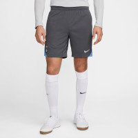 Nike Tottenham Hotspur Strike Short d'Entraînement 2024-2025 Gris Foncé Bleu