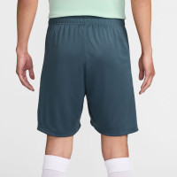 Nike Tottenham Hotspur Strike Ensemble Training 2024-2025 Vert Clair Vert