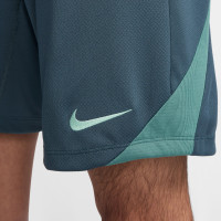 Nike Tottenham Hotspur Strike Trainingsset 2024-2025 Lichtgroen Groen