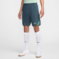 Nike Tottenham Hotspur Strike Trainingsset 2024-2025 Lichtgroen Groen