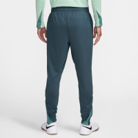 Nike Tottenham Hotspur Strike Pantalon d'Entraînement 2024-2025 Vert Vert Clair