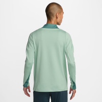 Nike Tottenham Hotspur Strike Survêtement 1/4-Zip 2024-2025 Vert Clair Vert