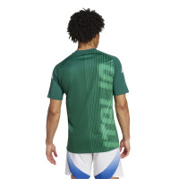 Maillot d'entraînement d'avant-match Adidas Italy 2024-2026 Vert Blanc