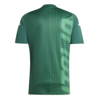 adidas Italië Pre-Match Trainingsshirt 2024-2026 Groen Wit