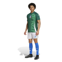 Maillot d'entraînement d'avant-match Adidas Italy 2024-2026 Vert Blanc