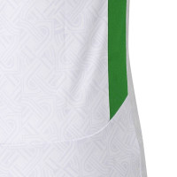 Castore Irlande Maillot Extérieur 2024-2025