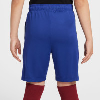 Nike FC Barcelone Academy Pro Short d'Entraînement 2024-2025 Enfants Bleu Jaune