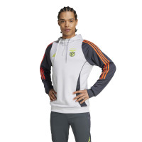 adidas Benfica Track Sweat à Capuche 2024-2025 Gris Clair Gris Foncé Jaune