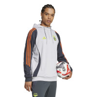 adidas Benfica Track Sweat à Capuche 2024-2025 Gris Clair Gris Foncé Jaune