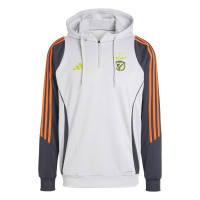 adidas Benfica Track Sweat à Capuche 2024-2025 Gris Clair Gris Foncé Jaune