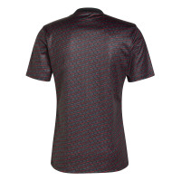 adidas Ajax Pre-Match Maillot d'Entraînement 2024-2025 Noir Rouge Blanc