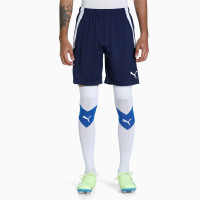 Pantalon d'entraînement PUMA TeamLiga bleu foncé blanc