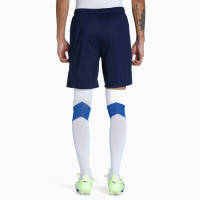 Pantalon d'entraînement PUMA TeamLiga bleu foncé blanc