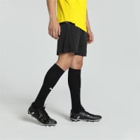 PUMA teamGOAL Short d'Entraînement Noir Blanc