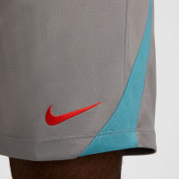 Nike Atletico Madrid Strike Short d'Entraînement 2024-2025 Gris Bleu Clair Rouge