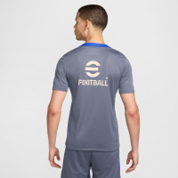 Nike Inter Milan Strike Maillot d'Entraînement 2024-2025 Gris-Bleu Bleu Beige