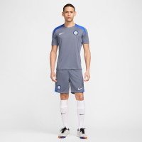 Nike Inter Milan Strike Maillot d'Entraînement 2024-2025 Gris-Bleu Bleu Beige