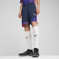 PUMA individualFINAL Trainingsset Paars Lichtroze Donkerblauw