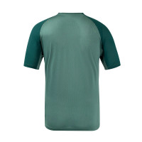 Chemise d'entraînement Castore Feyenoord 2024-2025 Vert Foncé Vert Blanc