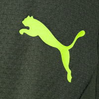 PUMA Borussia Dortmund Pantalon d'Entraînement 2024-2025 Vert Jaune