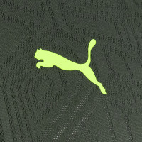 PUMA Borussia Dortmund Maillot d'Entraînement 2024-2025 Vert Jaune