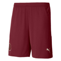 PUMA Manchester City 3e Short 2024-2025