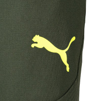 PUMA Borussia Dortmund Short d'Entraînement 2024-2025 Vert Jaune