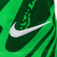 Nike Nederland Keeperstenue Lange Mouwen 2024-2026 Kids Groen