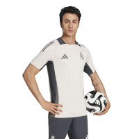 adidas Real Madrid Maillot d'Entraînement Europe 2024-2025 Beige Gris Foncé Brun