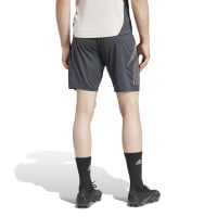 adidas Real Madrid Short d'Entraînement Europe 2024-2025 Gris Foncé Brun Blanc