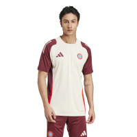 adidas Bayern Munich Maillot d'Entraînement Europe 2024-2025 Blanc Bordeaux Rouge