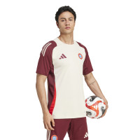 adidas Bayern Munich Maillot d'Entraînement Europe 2024-2025 Blanc Bordeaux Rouge