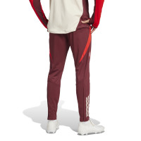 adidas Bayern München Trainingsbroek Europees 2024-2025 Bordeauxrood Rood Wit