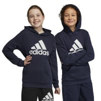 adidas Essentials Big Logo Sweat à Capuche Enfants Bleu Foncé Blanc