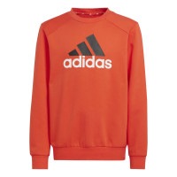 adidas Essentials Big Logo Fleece Joggingpak Kids Rood Zwart Wit