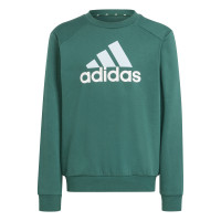 adidas Essentials Big Logo Fleece Survêtement Enfants Vert Foncé Noir Blanc