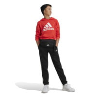 adidas Essentials Big Logo Sweat à Capuche Enfants Rouge Blanc