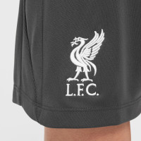 Nike Liverpool Academy Pro Short d'Entraînement 2024-2025 Enfants Gris Foncé Blanc